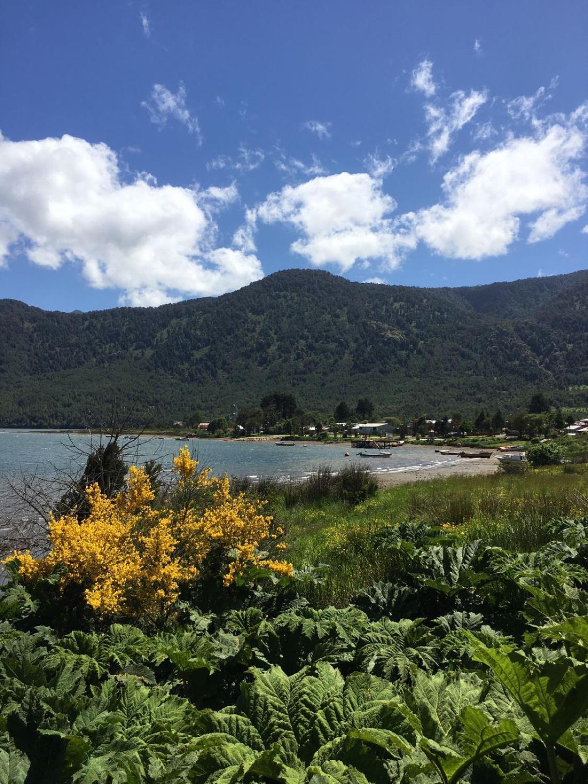 Cabanas Ruepue Puyuhuapi Exterior foto